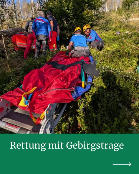 Forstunfall vom 08.09.2026 - Bild 3