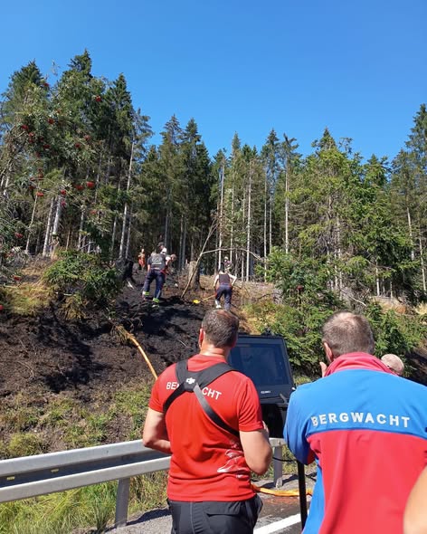 Vegetationsbrand vom 29.07.2026 - Bild 2