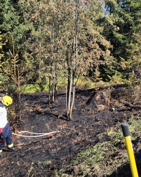 Vegetationsbrand vom 13.08.2026 - Bild 4