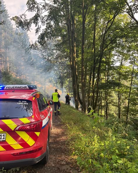Waldbrand vom 14.07.2026 - Bild 2