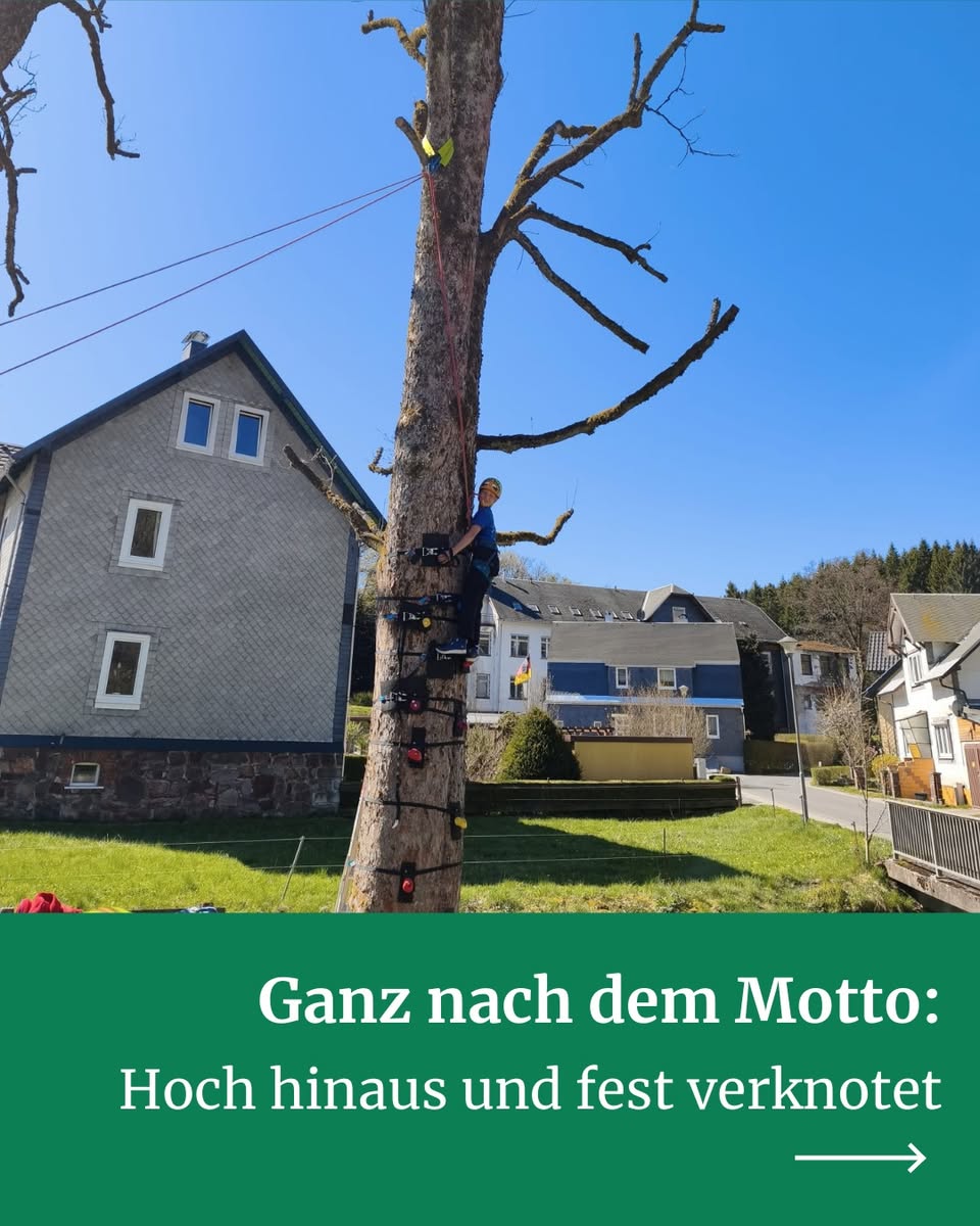 Hoch hinaus und fest verknotet: Jugendausbildung in Scheibe-Alsbach - Bild 3