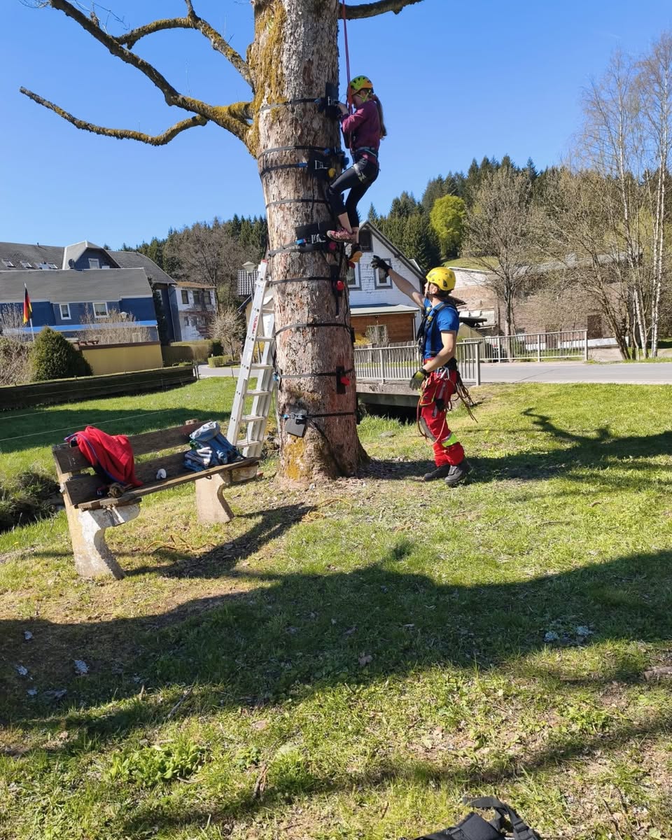 Hoch hinaus und fest verknotet: Jugendausbildung in Scheibe-Alsbach - Bild 5