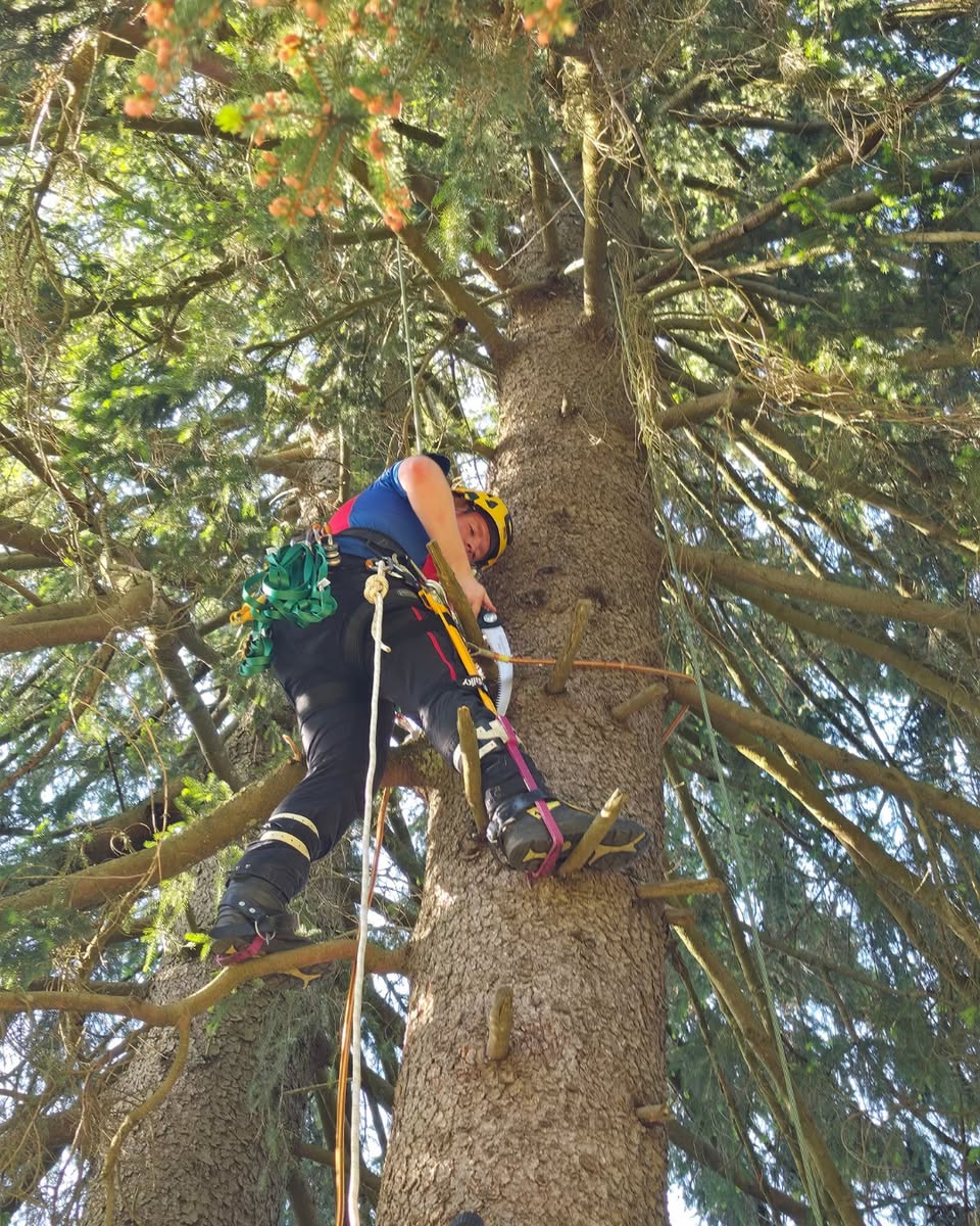 Ausbildung rettung eines gleitschirmfliegers 04